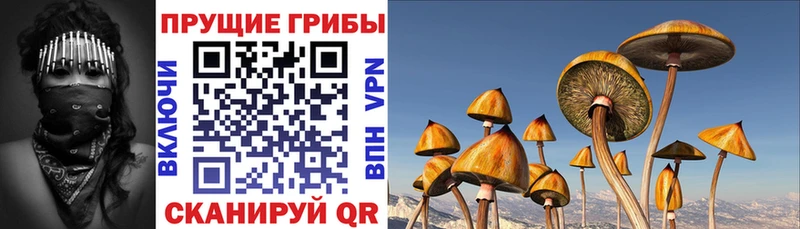 наркотики  Можга  Галлюциногенные грибы мухоморы 