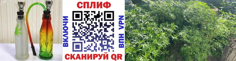 МАРИХУАНА OG Kush Можга